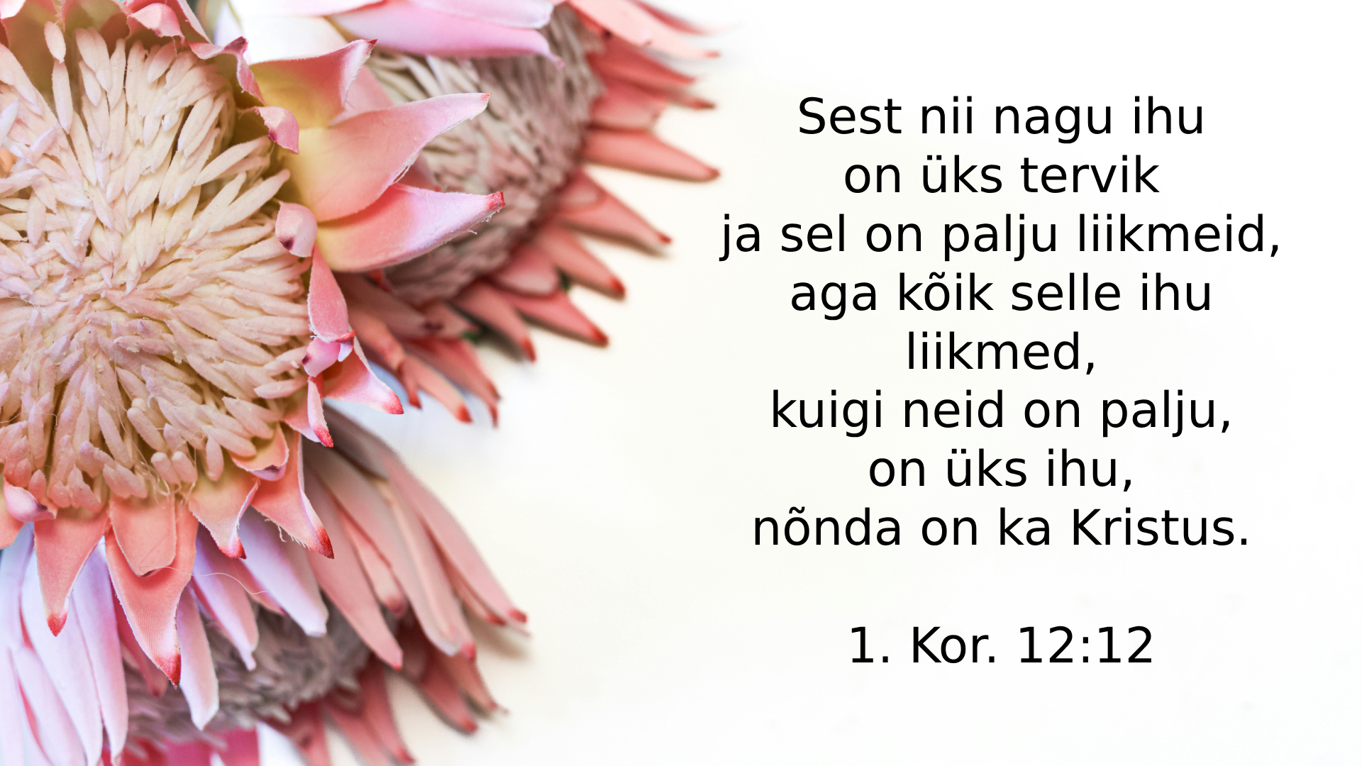10150608_1Kr_12_12.jpg