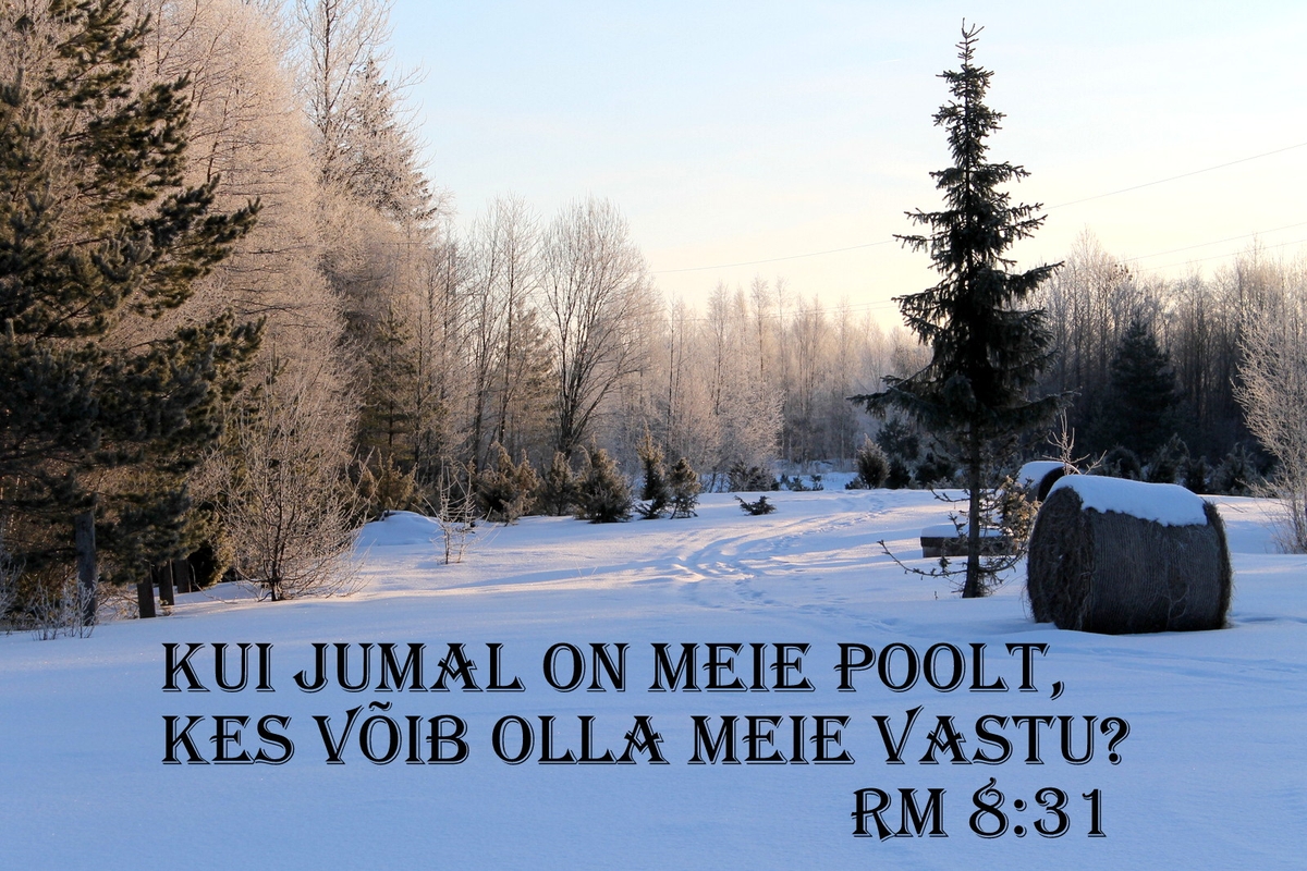 20180225_Rm_8_31.jpg
