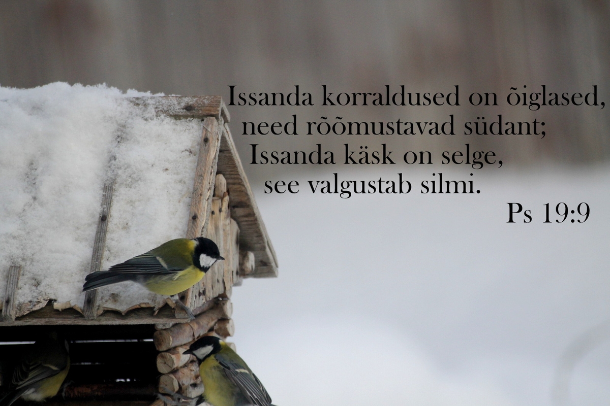 20180304_Ps_19_9.jpg