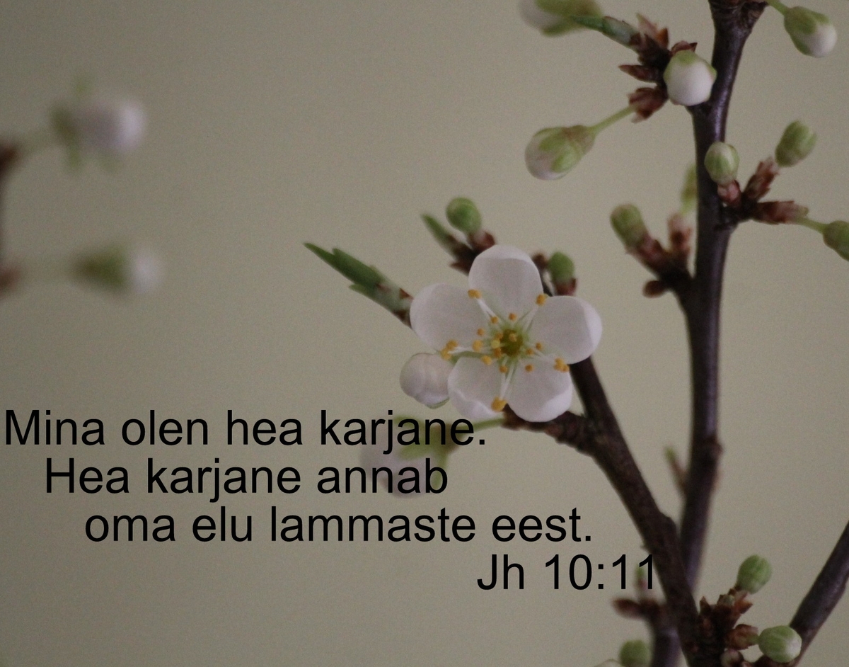 20180433_Jh_10_11.jpg