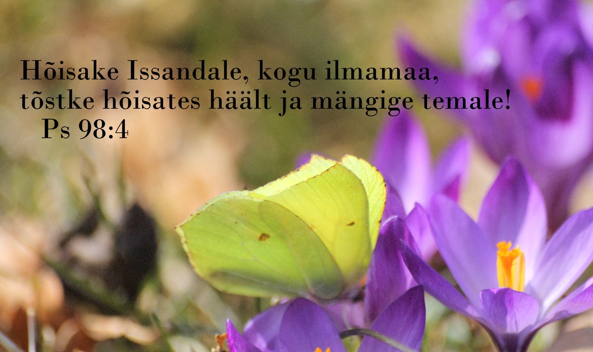 20180506_Ps_98_4.jpg