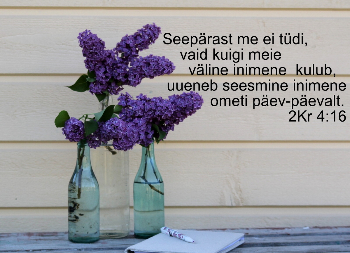20180610_2Kr_4_16.jpg