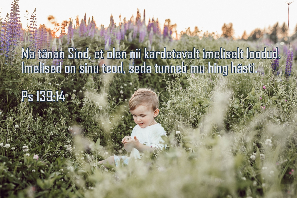 20180624_Ps_139_14.jpg
