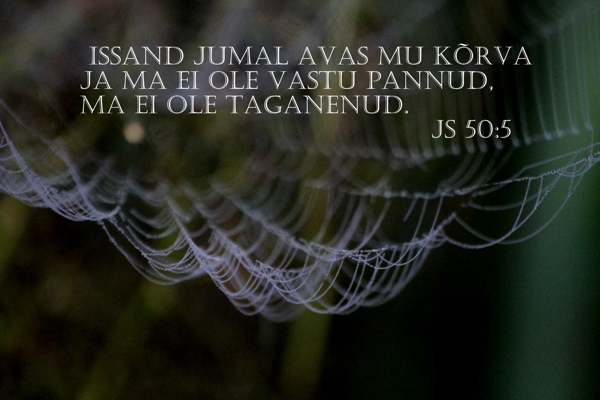 20180916_Js_50_5.jpg