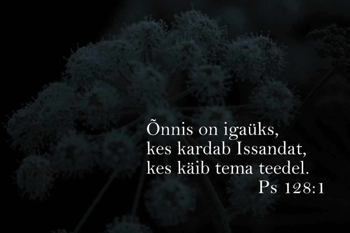 20181007_Ps_128_1.jpg