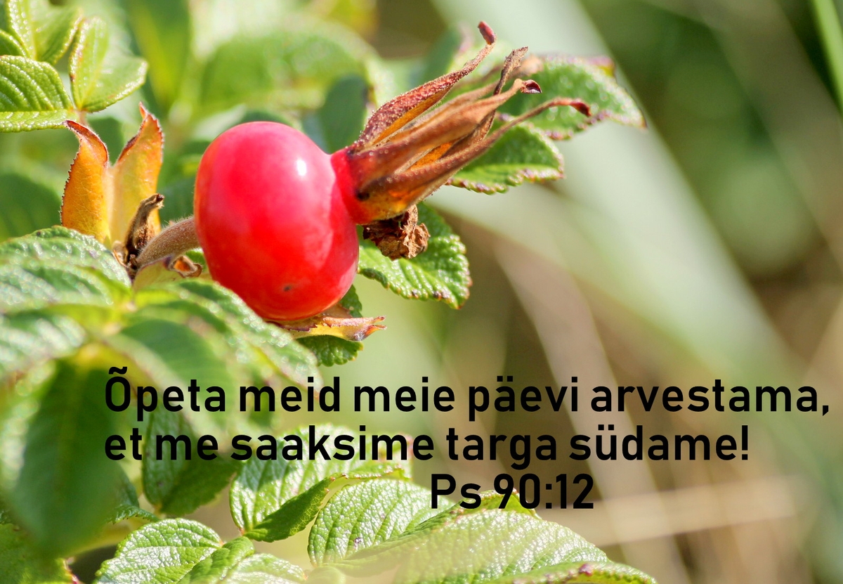 20181014_Ps_90_12.jpg