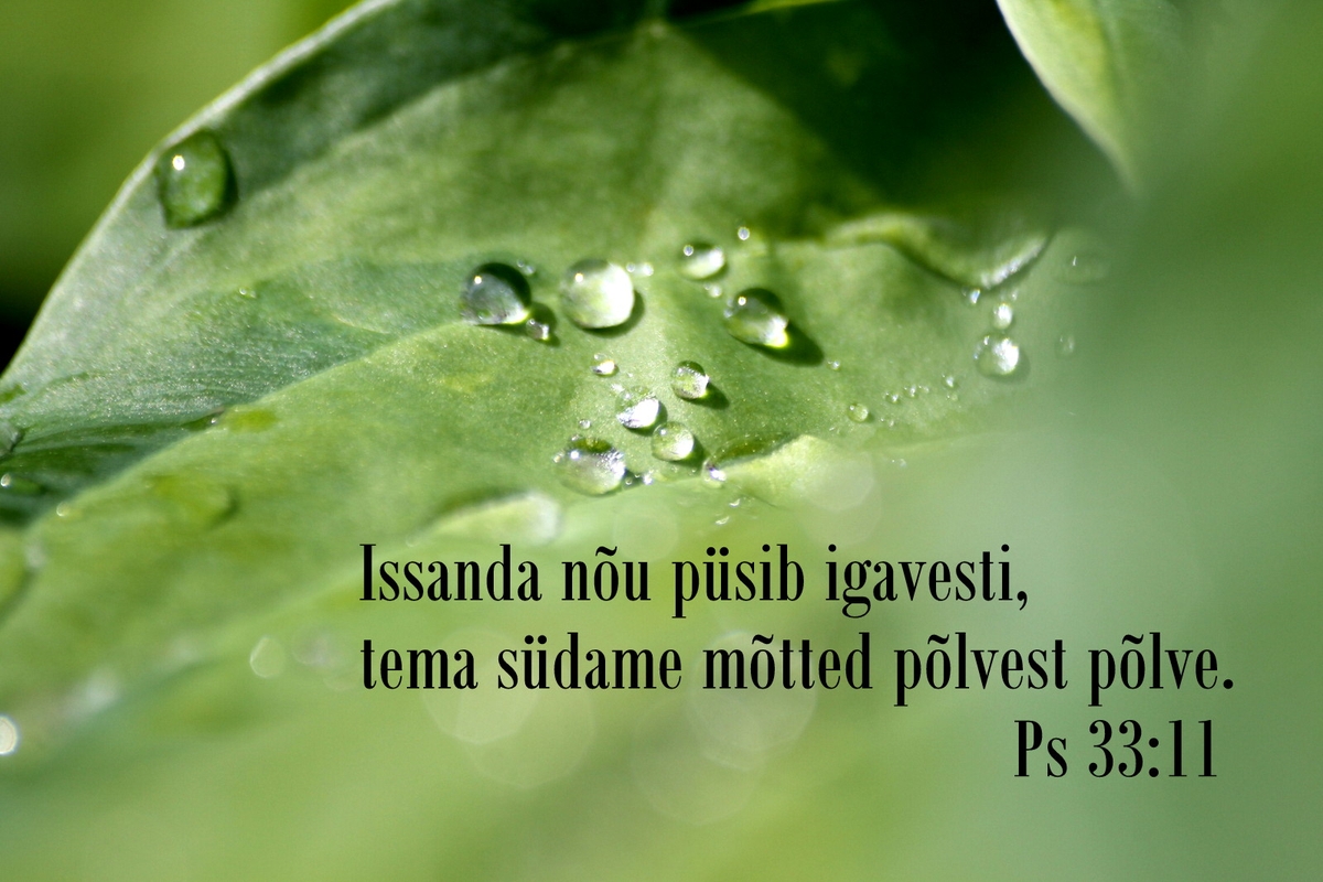 20181021_Ps_33_11.jpg