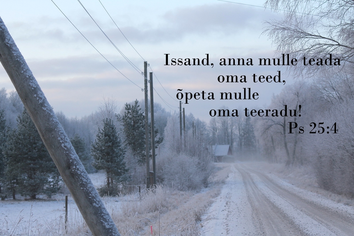 20181203_Ps_25_4.jpg