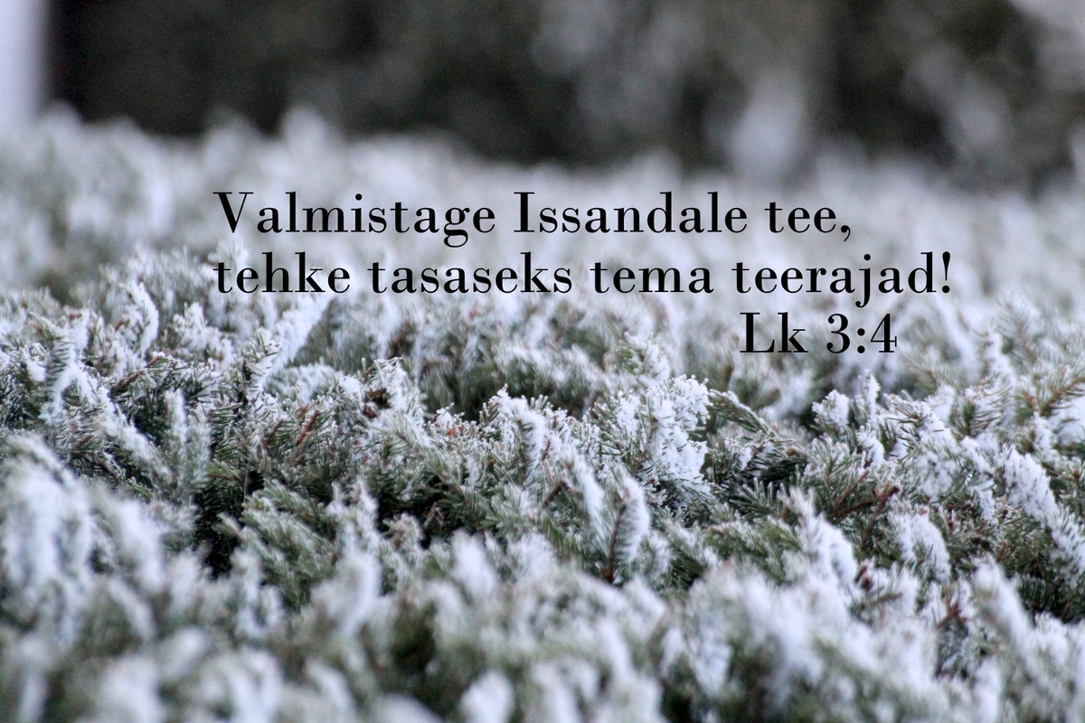 20181209_Lk_3_4.jpg