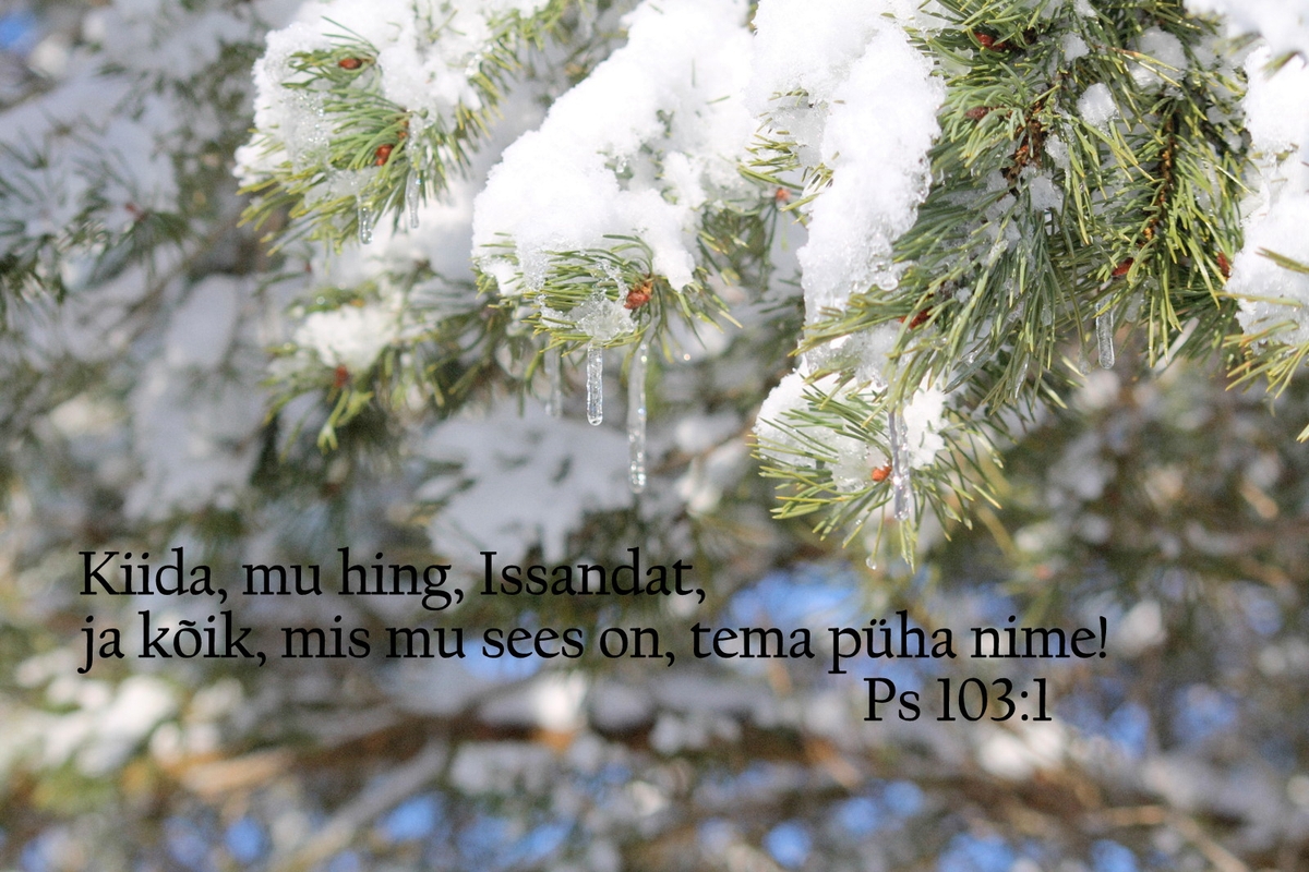 20190224_Ps_103_1.jpg