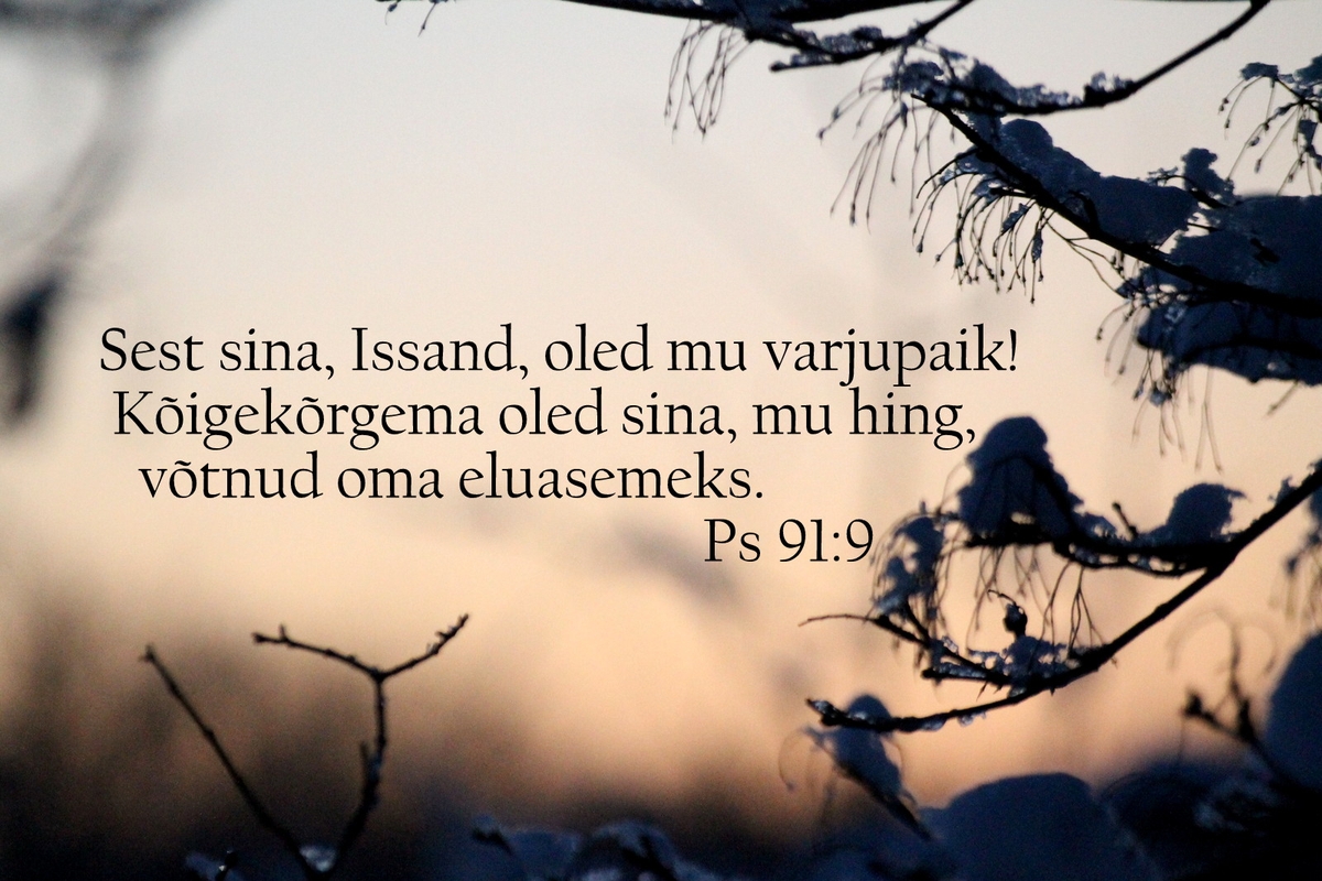 20190310_Ps_91_9.jpg