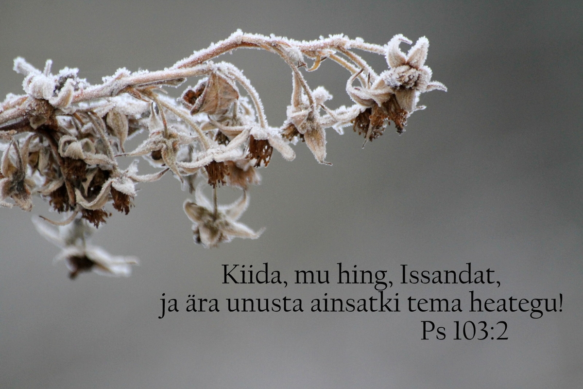 20190324_Ps_103_2.jpg
