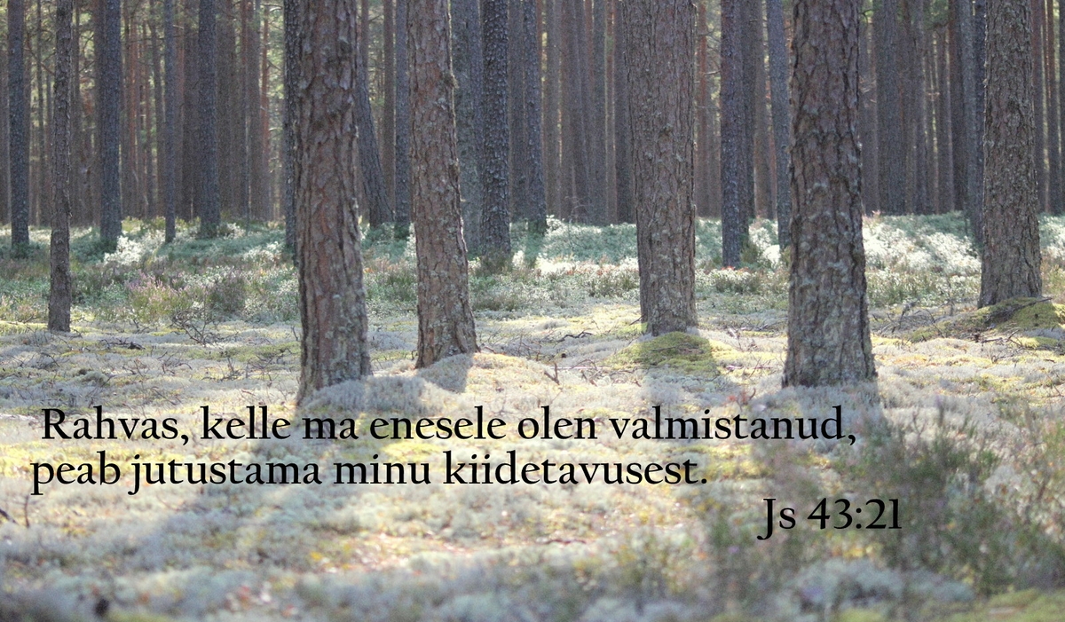 20190406_Js_43_21.jpg