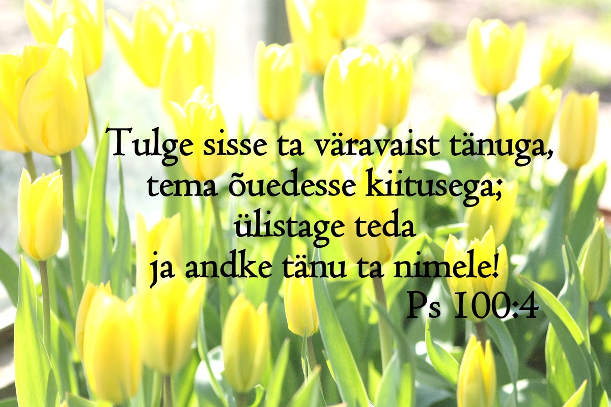 20190512_Ps_100_4.jpg