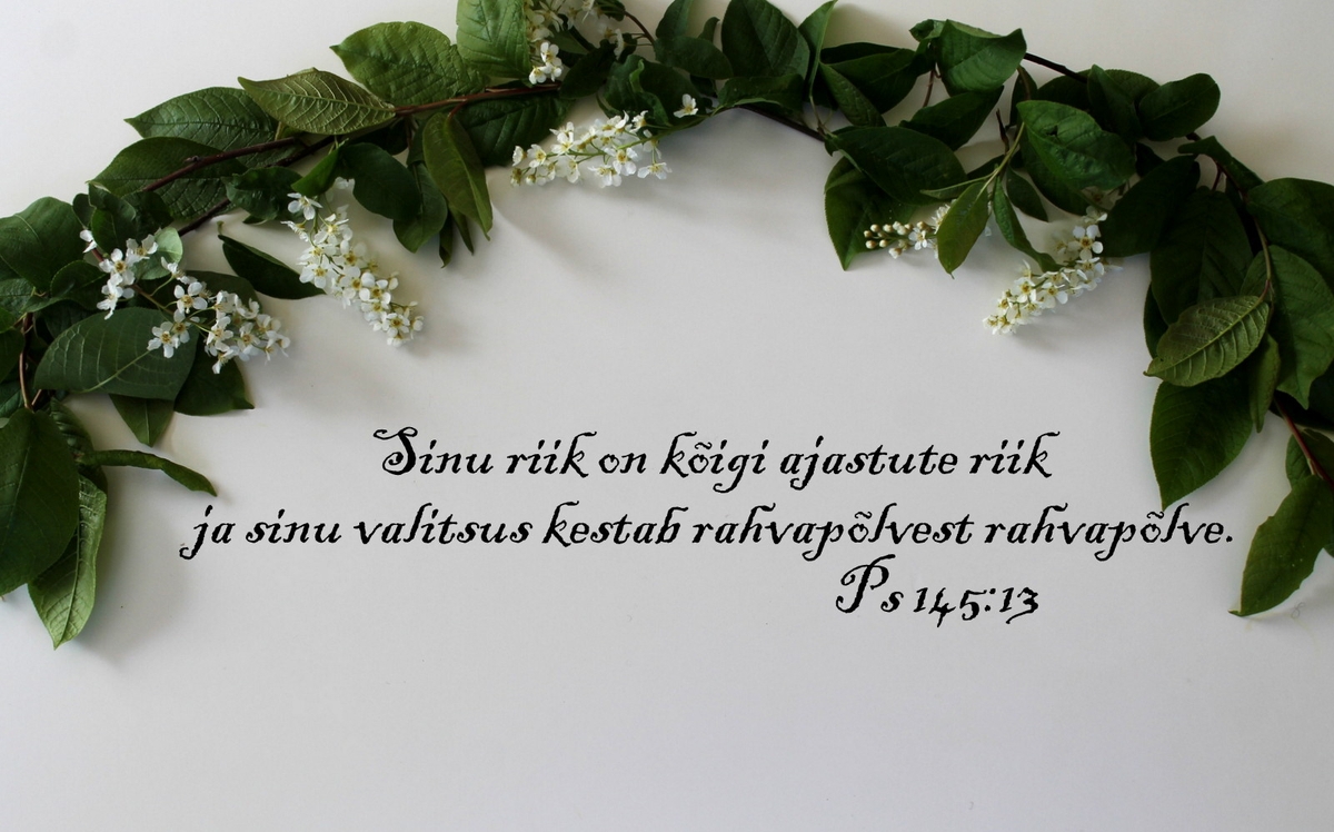 20190519_Ps_125_13.jpg