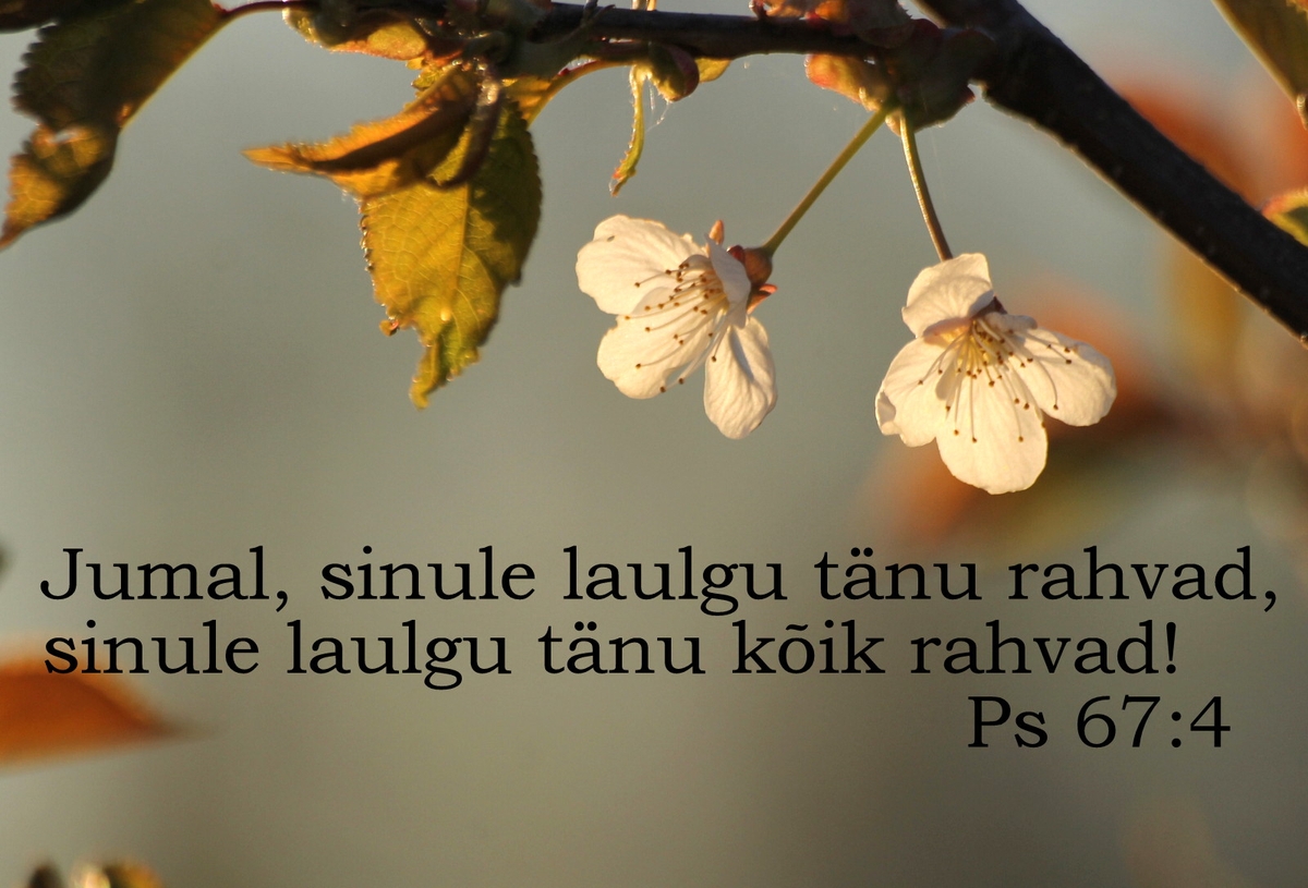 20190526_Ps_67_4.jpg