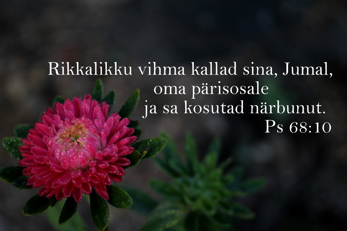 20190901_Ps_68_10.jpg