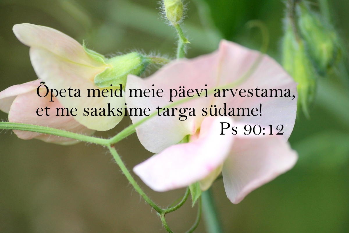 20190908_Ps_90_12.jpg