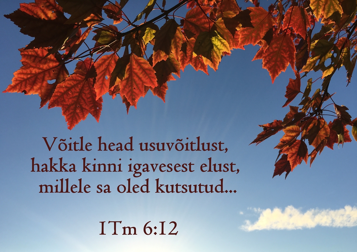 20190929-1Tm6-12.jpg