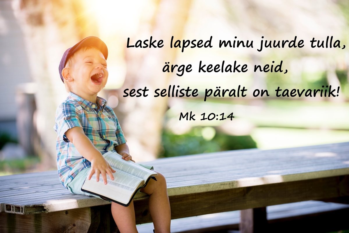 20190929-mk10-14.jpg