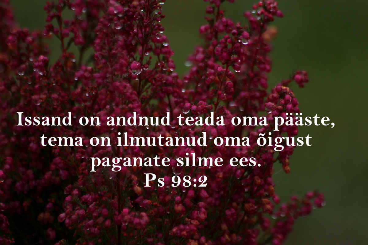 20191013_Ps_98_2.jpg