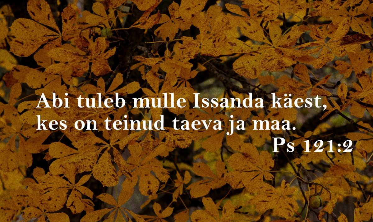 20191020_Ps_121_2.jpg
