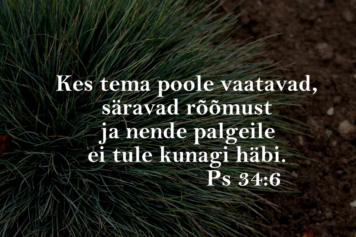 20191027_Ps_34_6.jpg