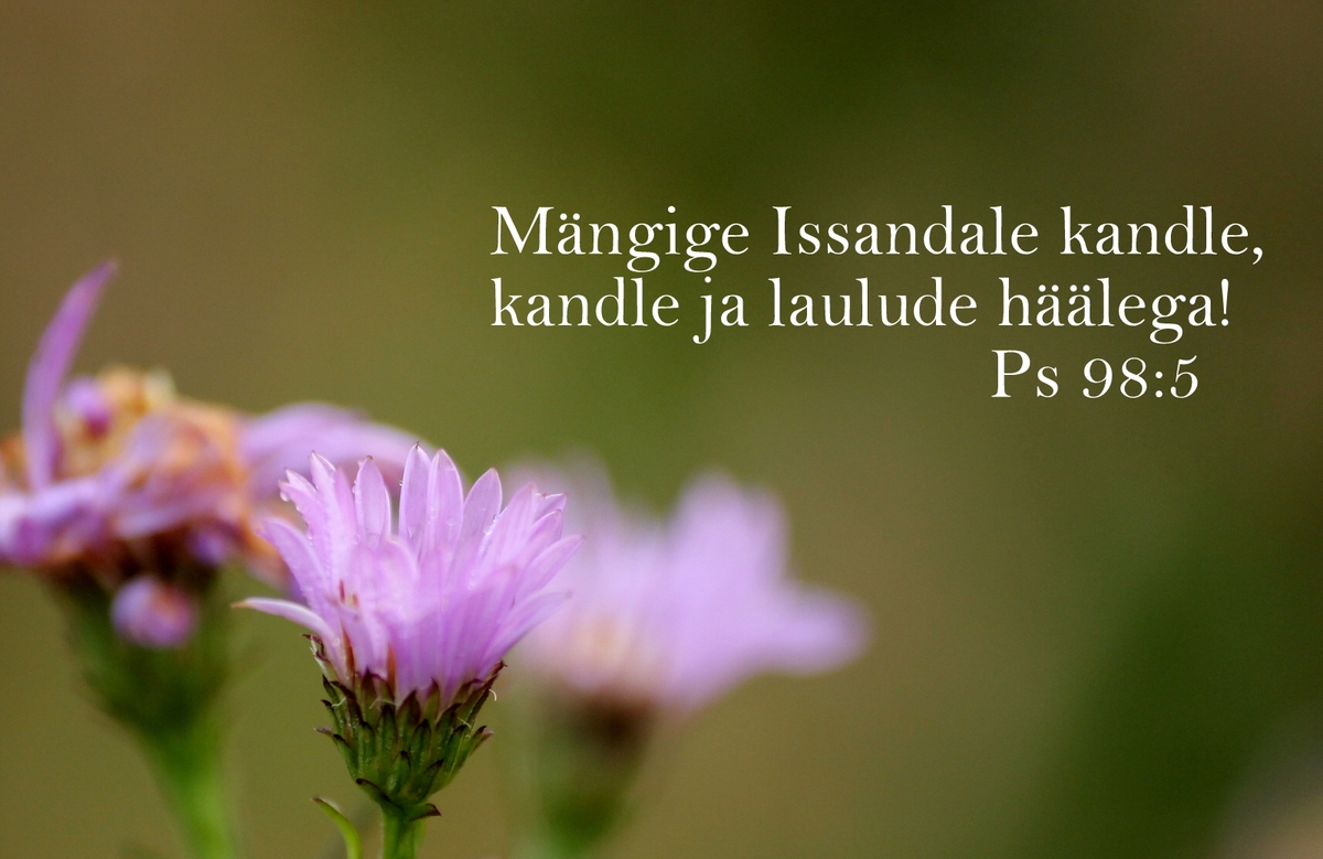 20191117_Ps_98_5.jpg
