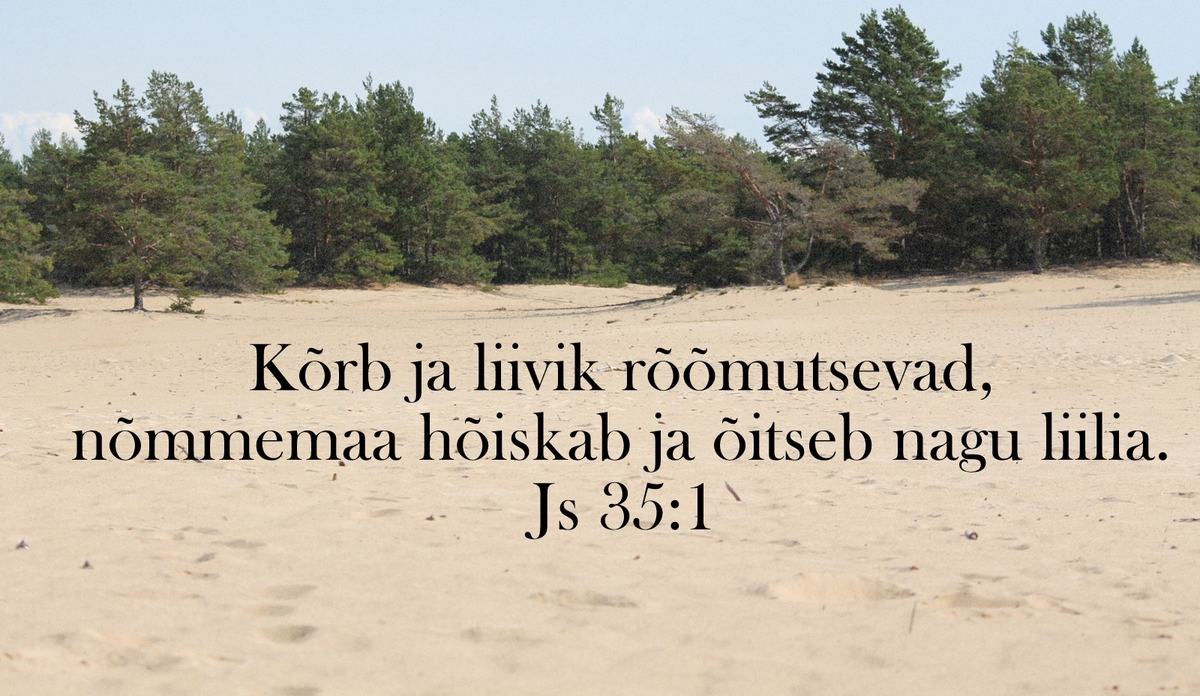 20191215_Js_35_1.jpg