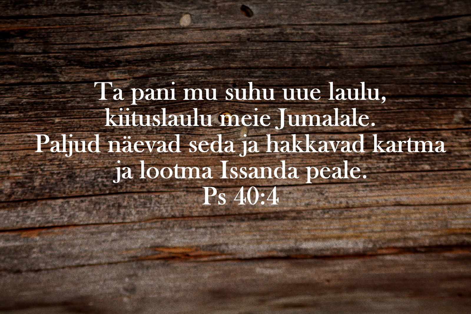 20200119_Ps_40_4.jpg
