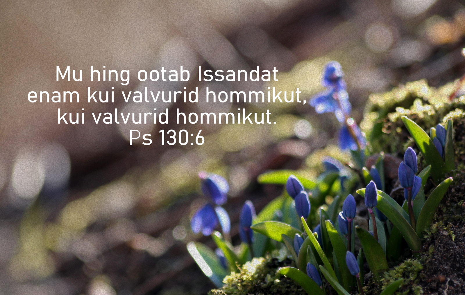 20200329_Ps_130_6.jpg