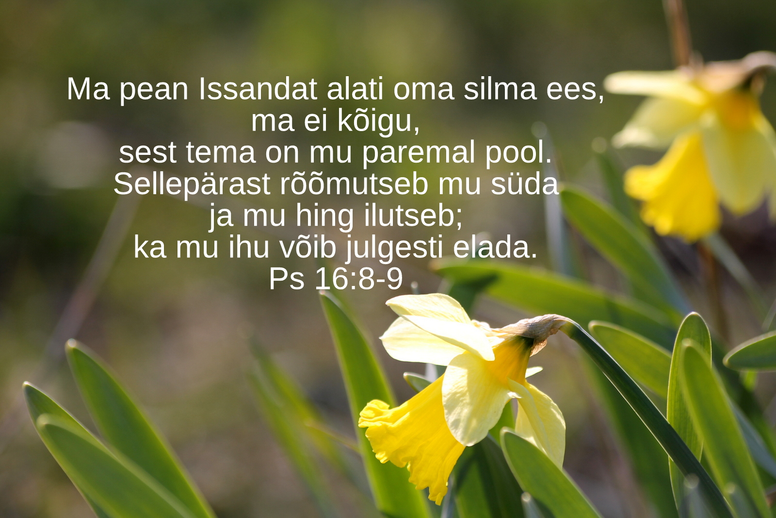 20200426_Psalm_16_8_9.jpg