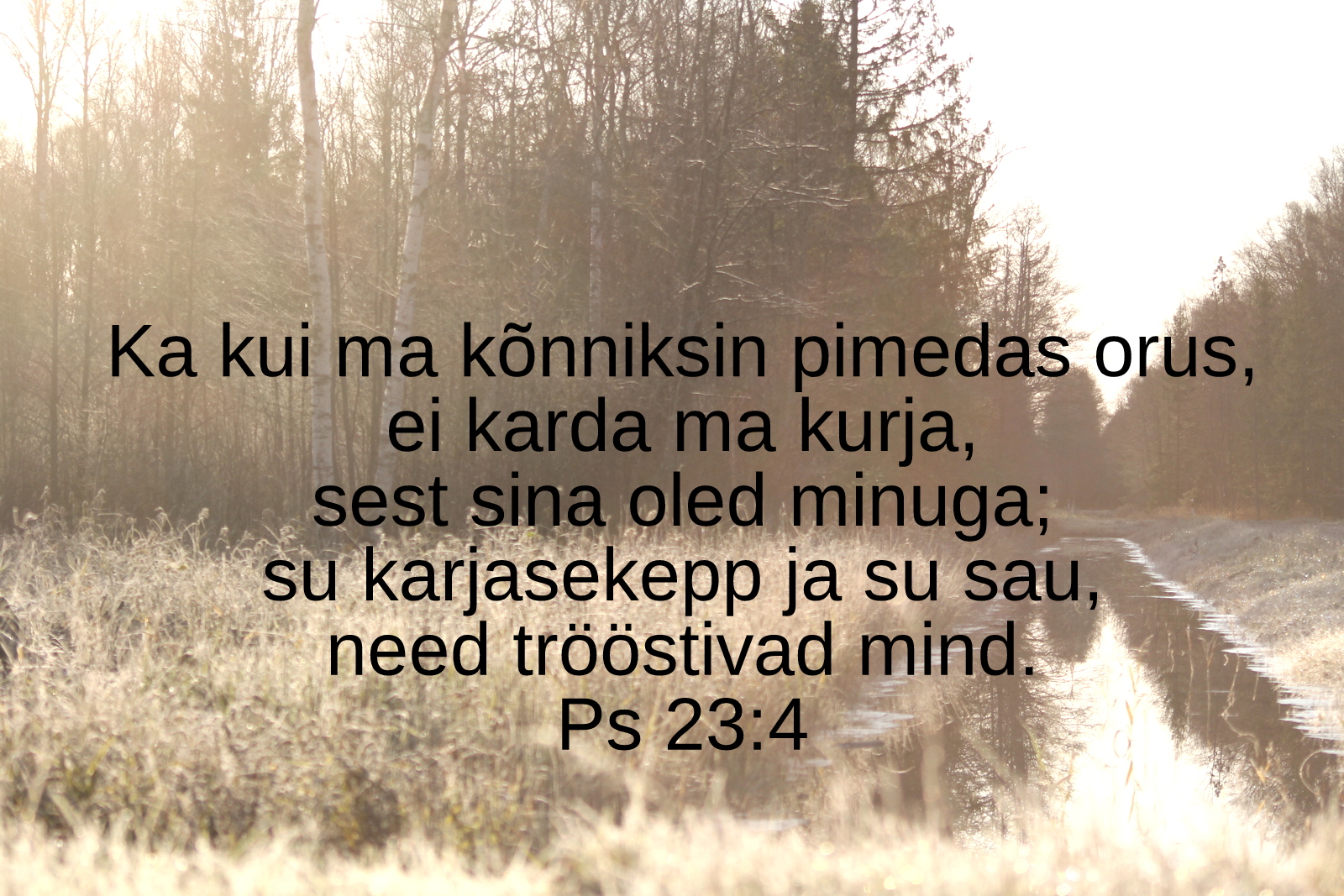 20200503_Ps_23_4.jpg