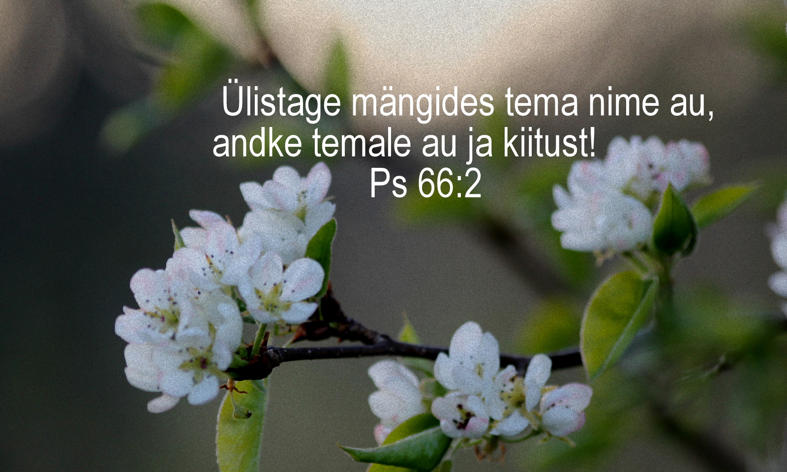 20200517_Ps_66_2.jpg