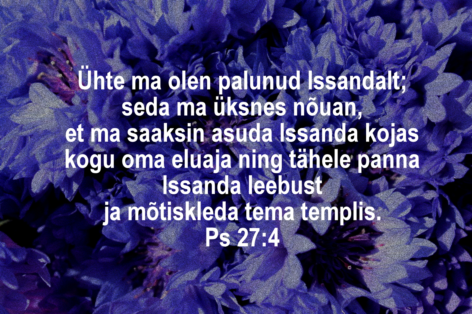 20200524_Ps_27_4.jpg