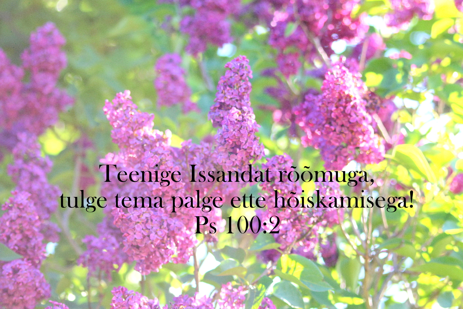 20200614_Ps_100_2.jpg
