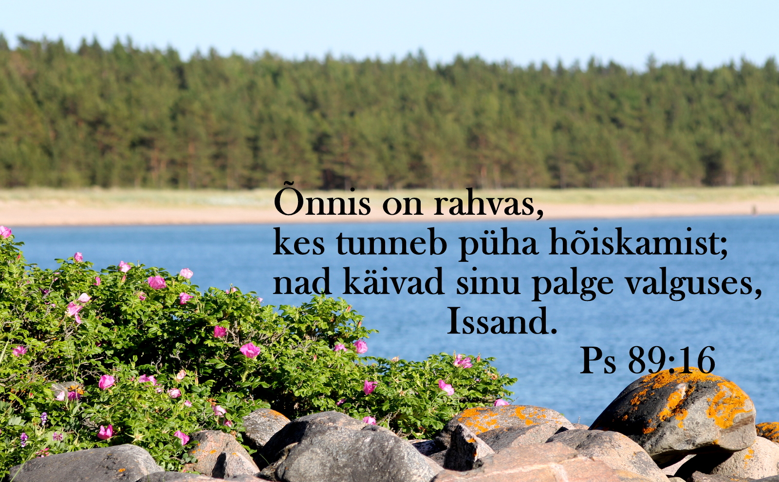 20200628_Ps_89_16.jpg