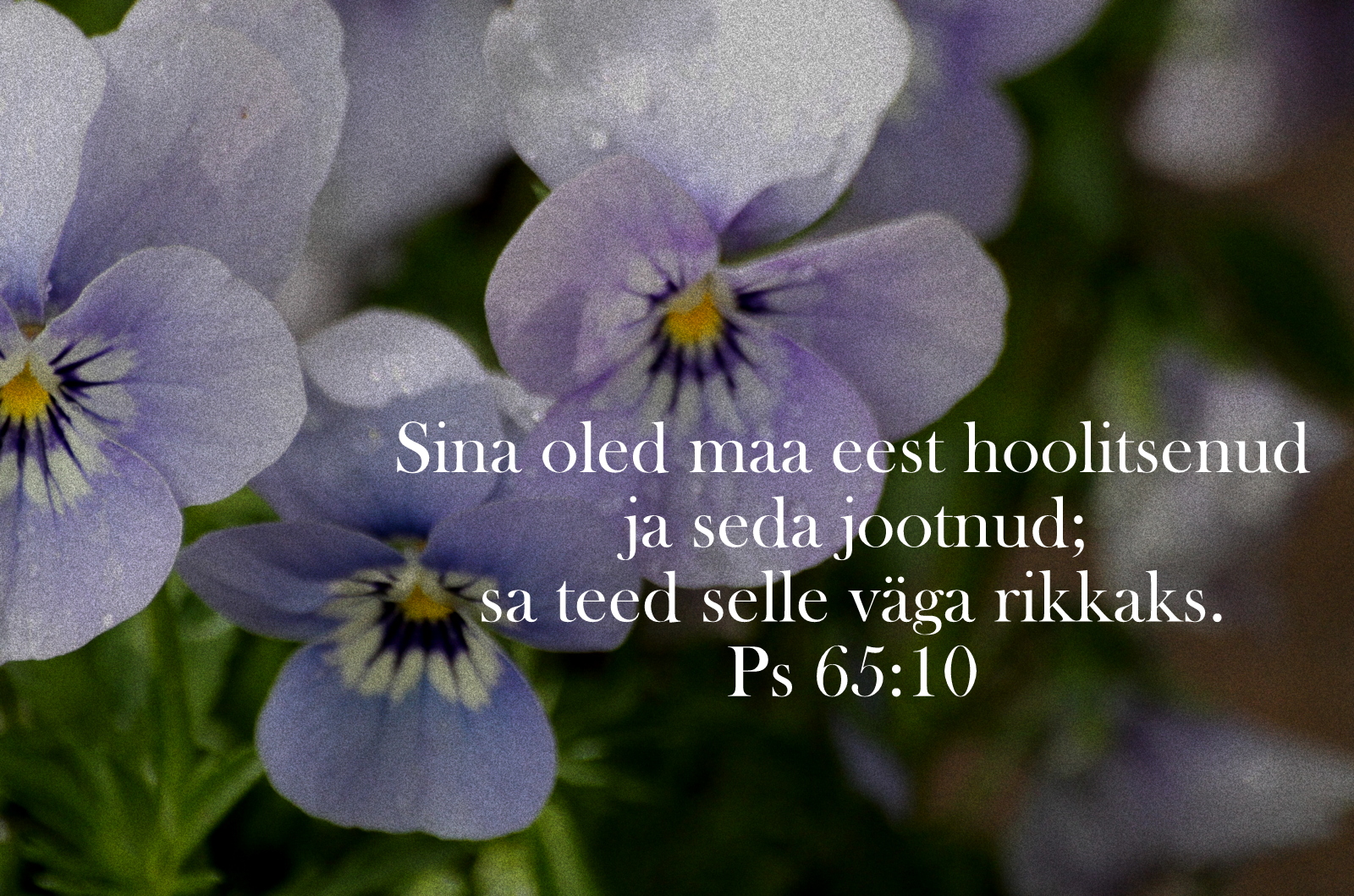20200712_Ps_65_10.jpg