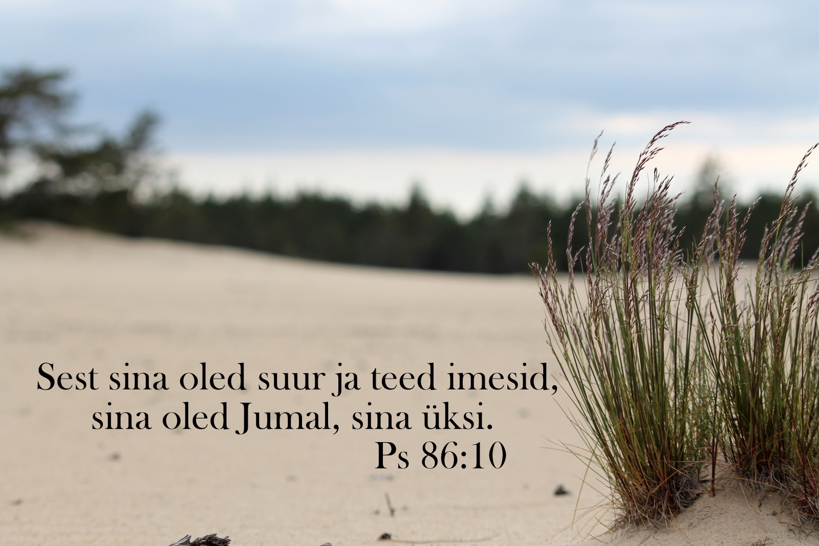 20200719_Ps_86_10.jpg
