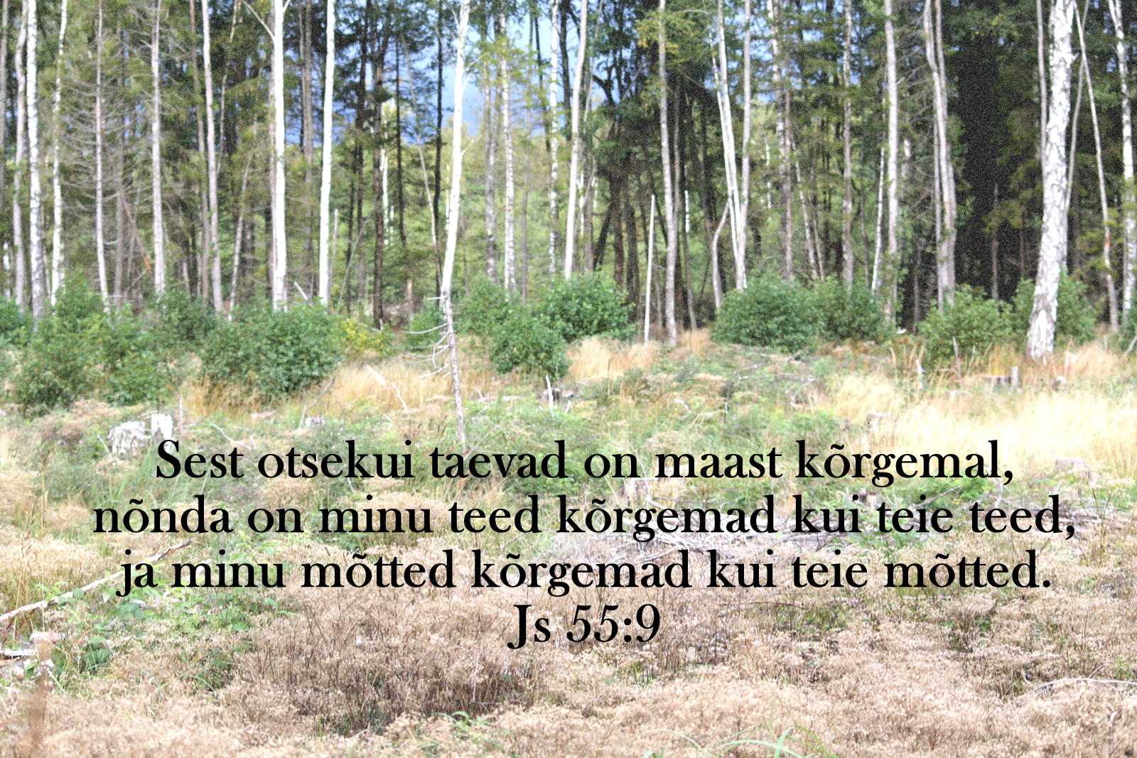 20200920_Js_55_9.jpg