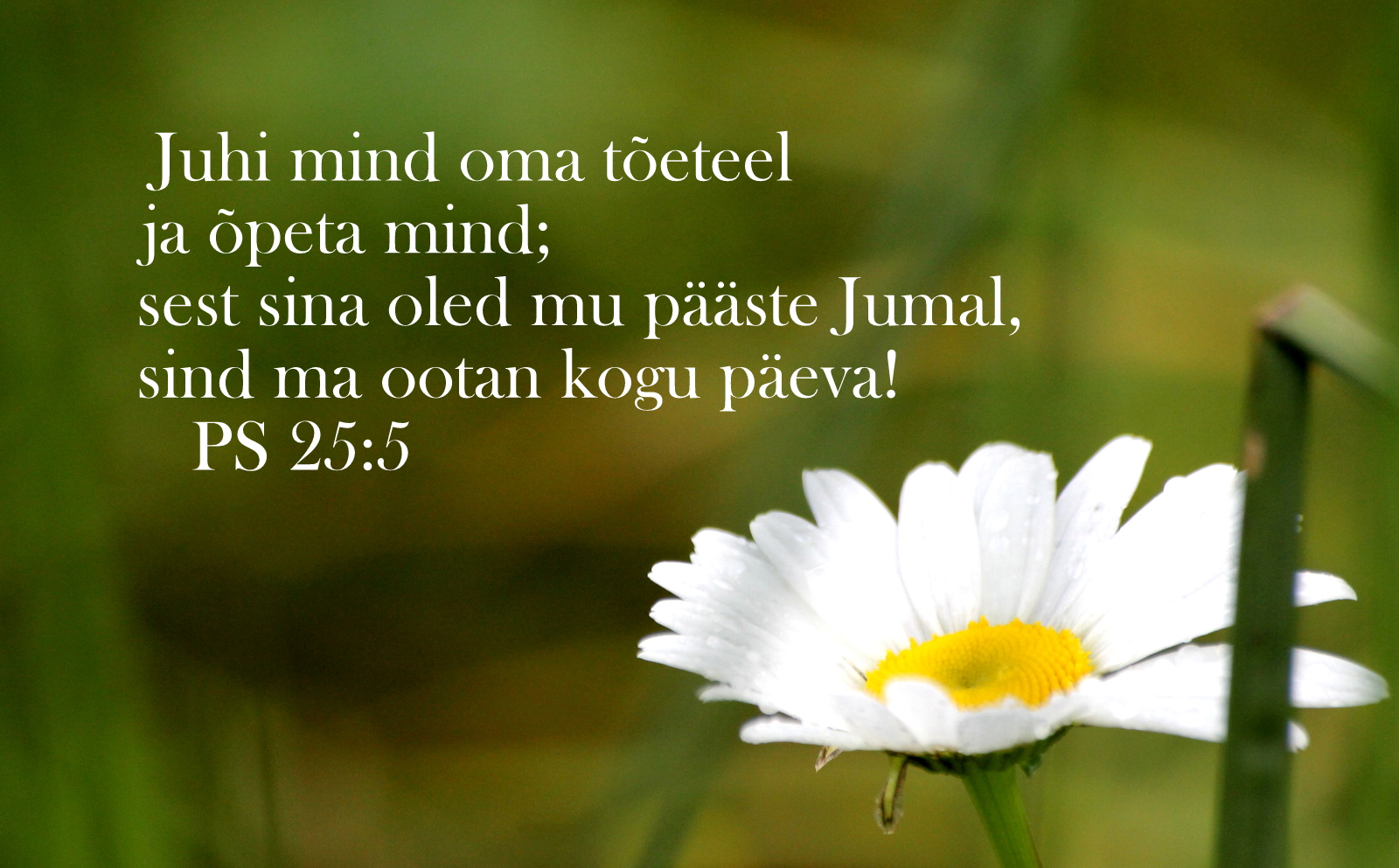 20200927_Ps_25_5.jpg