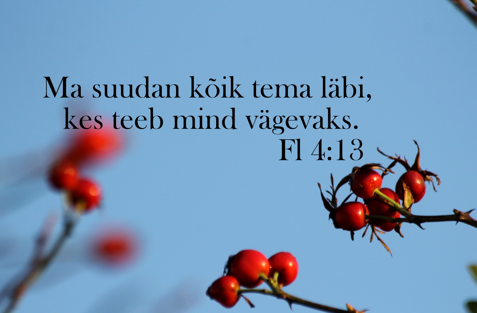 20201011_Fl_4_13.jpg