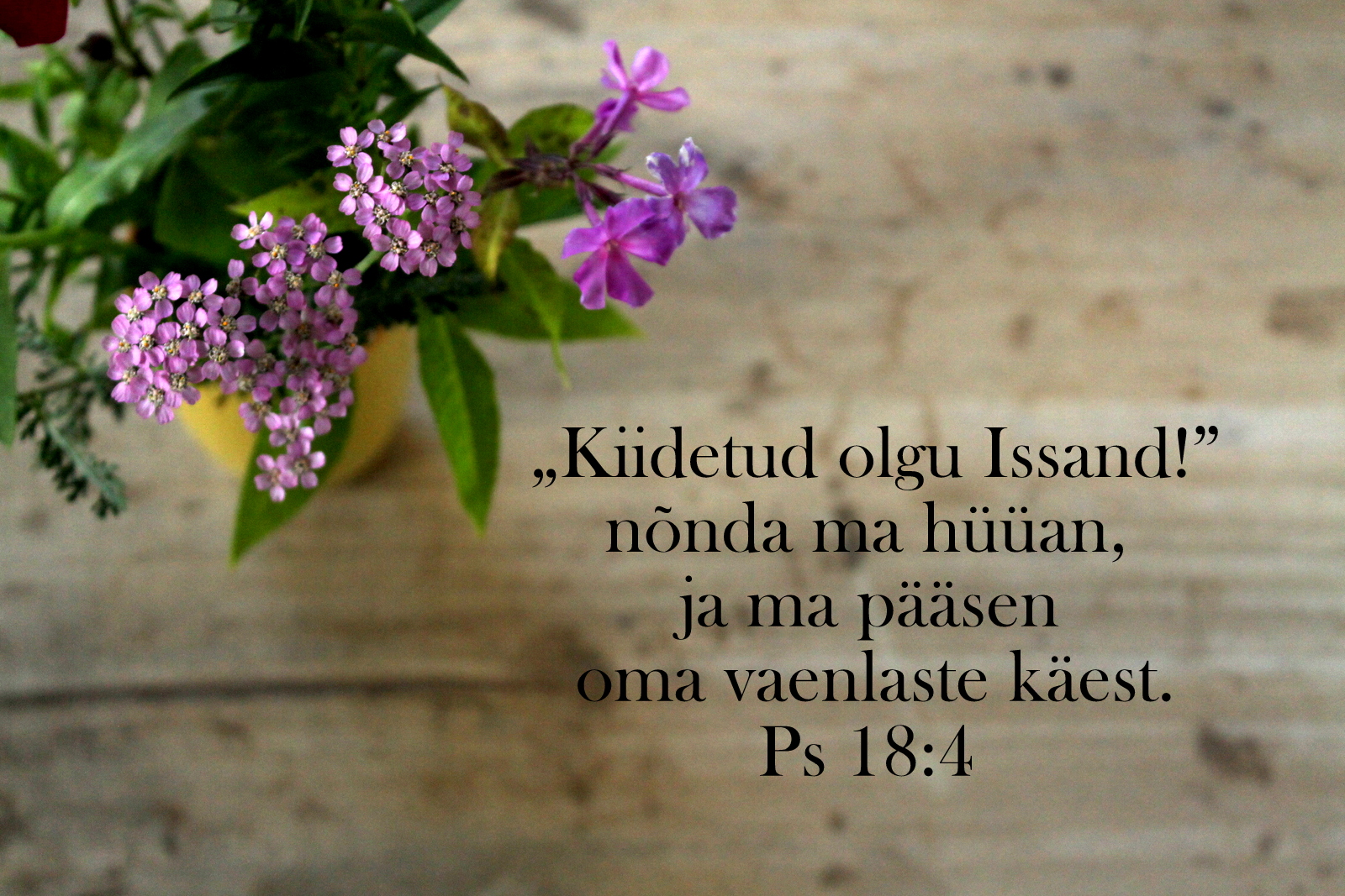 20201025_Ps_18_4.jpg