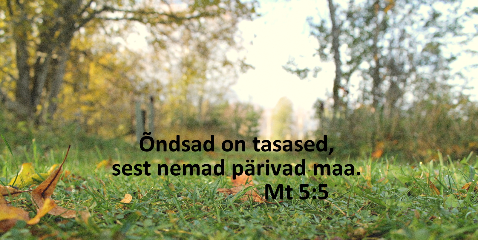 20201101_Mt_5_5.jpg
