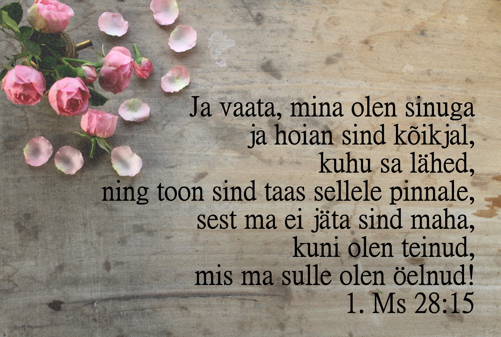 20201115_1Ms_28_15.jpg