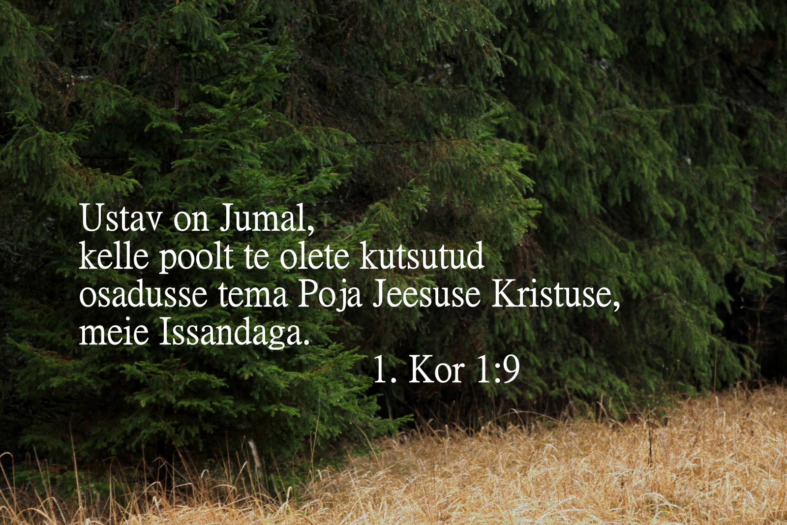 20201129_1Kr_1_9.jpg