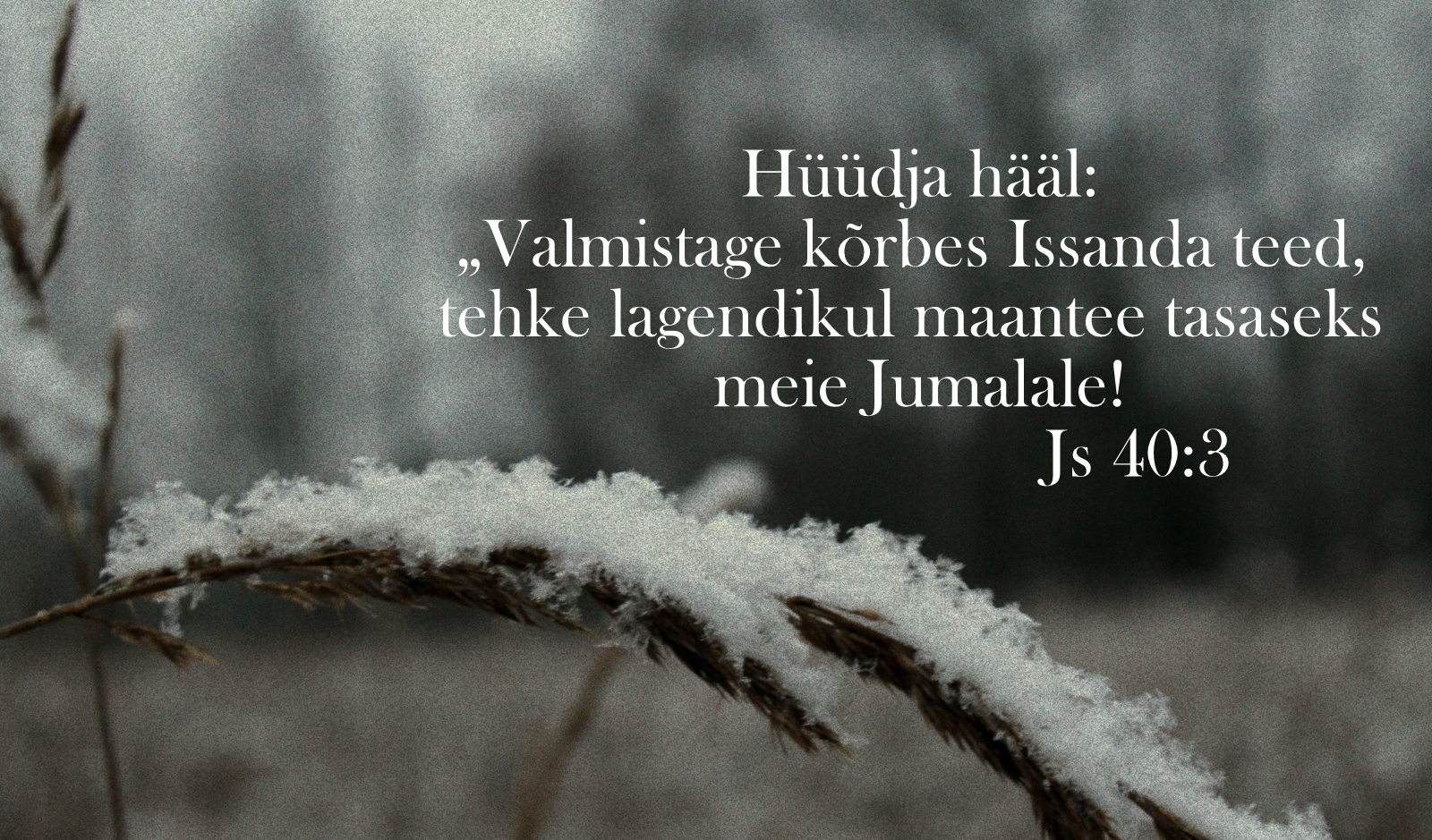 20201206_Js_40_3.jpg