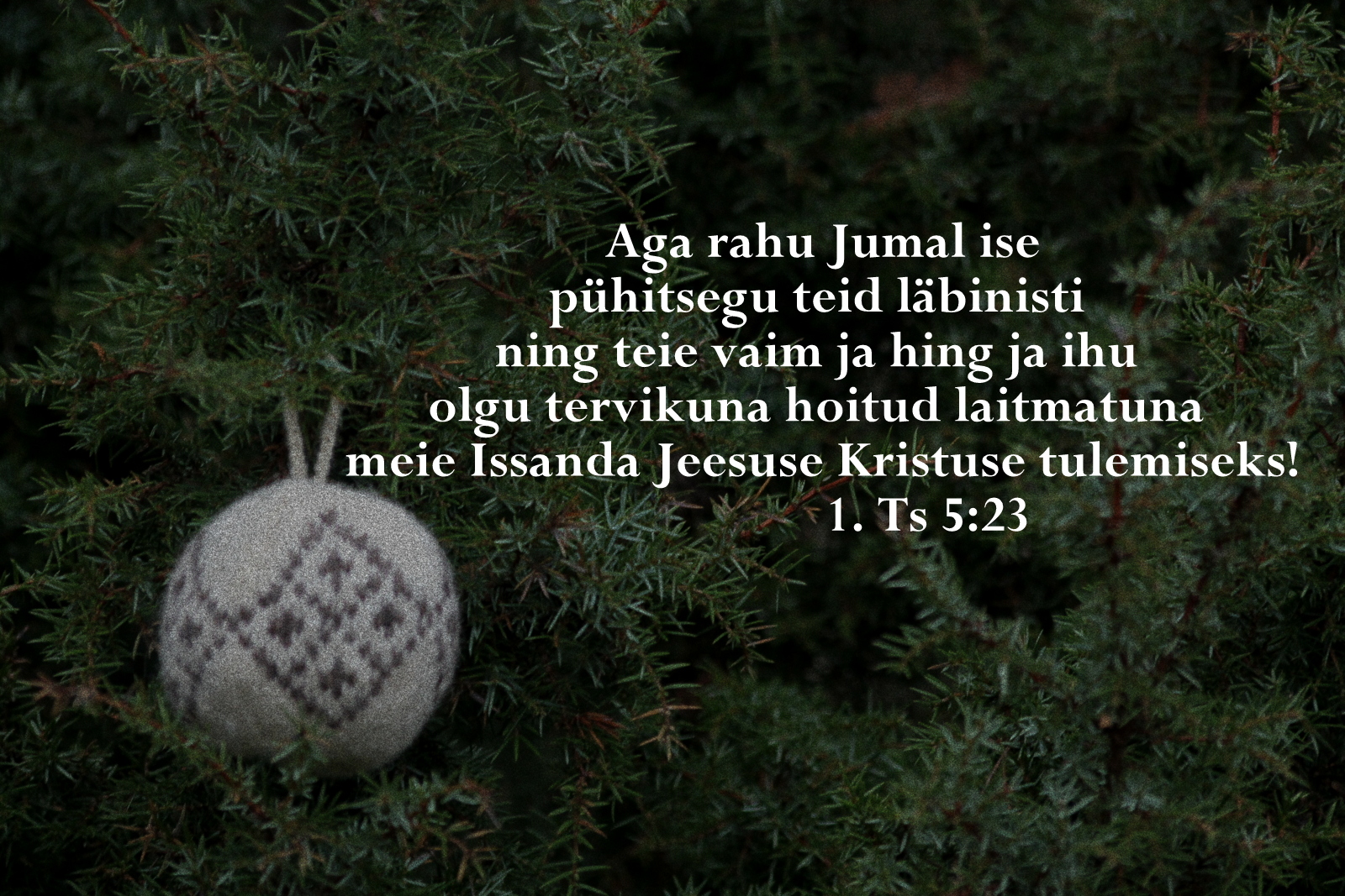 20201213_1Ts_5_23.jpg