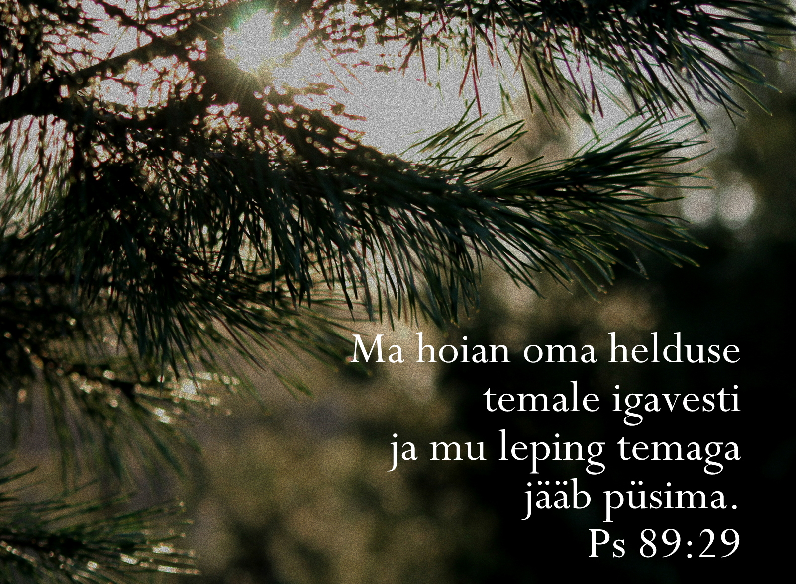 20201220_Ps_89_29.jpg
