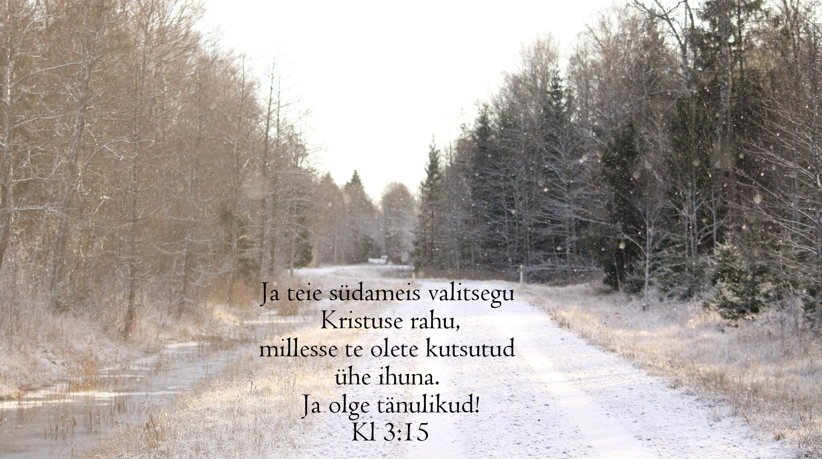 20201227_Kl_3_15.jpg